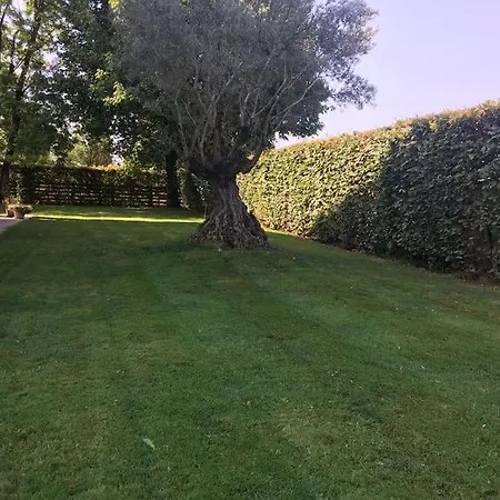 Country Close To Parma Apartment Parma